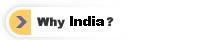 Why India