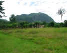 property in Asia
