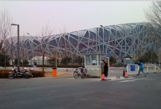 The BirdNest