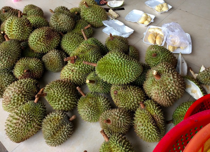 Fruits at Tra Vinh Province