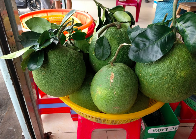 Fruits at Tra Vinh Province